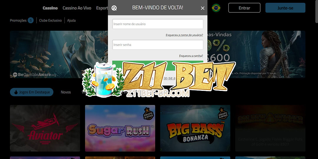 z11 bet login